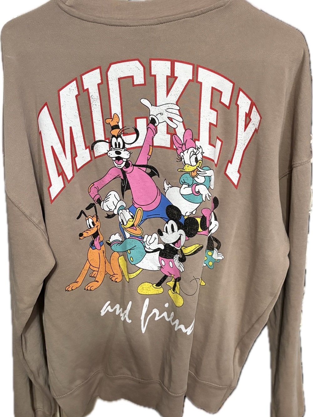 Mickey & Friends Graphic Sweatshirt - Taupe